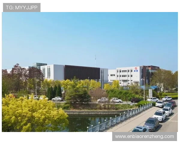 华体会体育国际娱乐的合法合规运营模式与行业发展前景分析